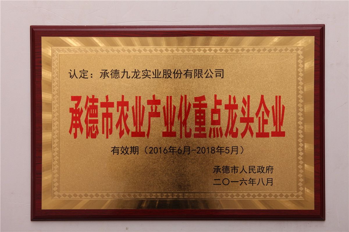荣誉证书二